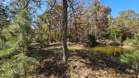 29903 E State Highway 14, Ava, MO 65608 photo 60