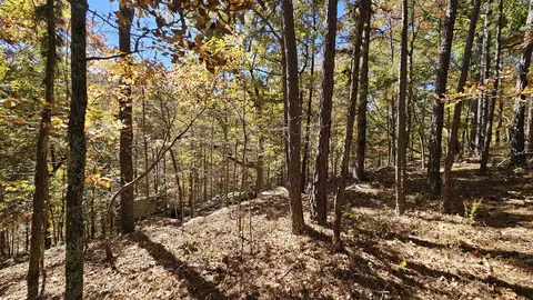 29903 E State Highway 14, Ava, MO 65608 photo 68