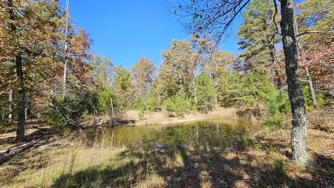 29903 E State Highway 14, Ava, MO 65608 photo 59