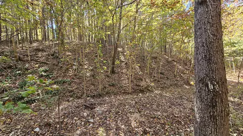 29903 E State Highway 14, Ava, MO 65608 photo 69