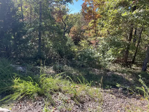 00033 Timber Ridge Rd, Mammoth Spring, AR 72554 photo 8