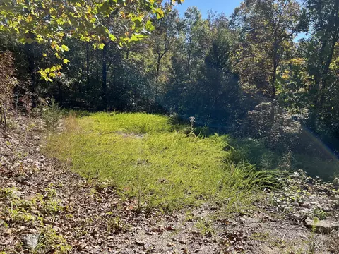 00033 Timber Ridge Rd, Mammoth Spring, AR 72554 photo 7