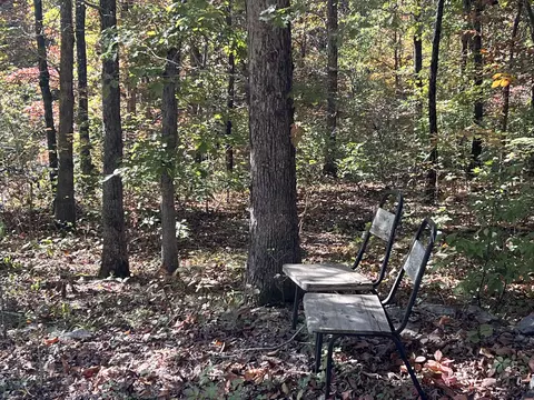 00033 Timber Ridge Rd, Mammoth Spring, AR 72554 photo 3