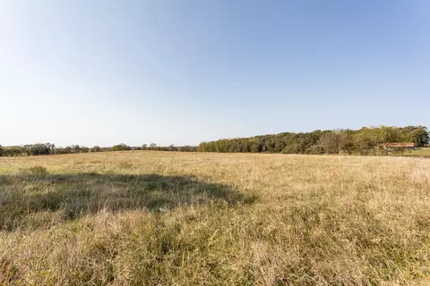 000 Washam Rd, Clever, MO 65631 photo 25