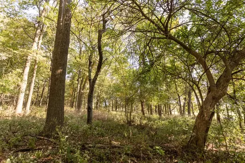 000 Washam Rd, Clever, MO 65631 photo 16