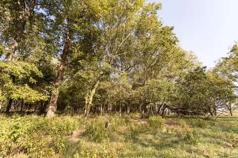 000 Washam Rd, Clever, MO 65631 photo 19