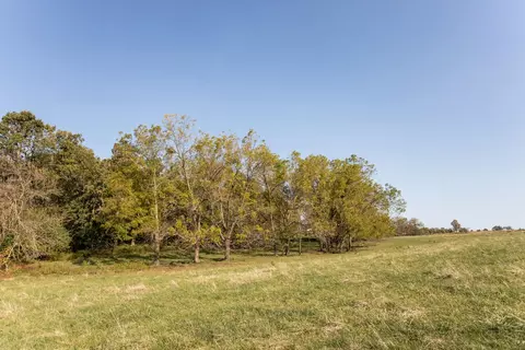 000 Washam Rd, Clever, MO 65631 photo 21