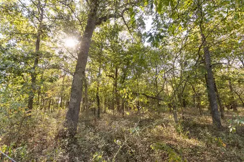 000 Washam Rd, Clever, MO 65631 photo 28
