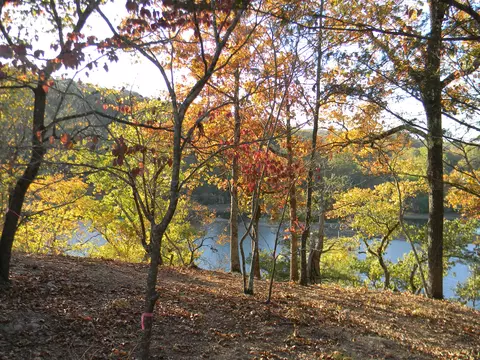 View/Area - 26648 Sandy Shores Rd, Shell Knob, MO 65747 photo 7 of 13