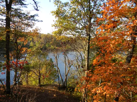 View/Area - 26648 Sandy Shores Rd, Shell Knob, MO 65747 photo 8 of 13