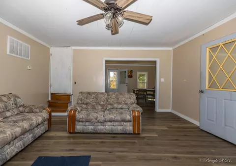 35164 County Road W-268, Dora, MO 65637 photo 17