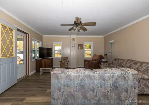 35164 County Road W-268, Dora, MO 65637 photo 16