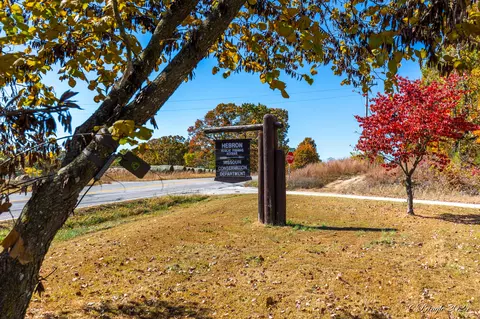 46681 State Route 14, Dora, MO 65637 photo 41