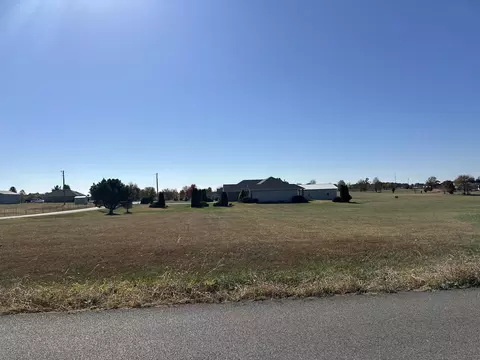 133 Bettington Ct, Ozark, MO 65721 photo 37