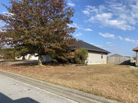 307 E Pintail Dr, Ozark, MO 65721 photo 3