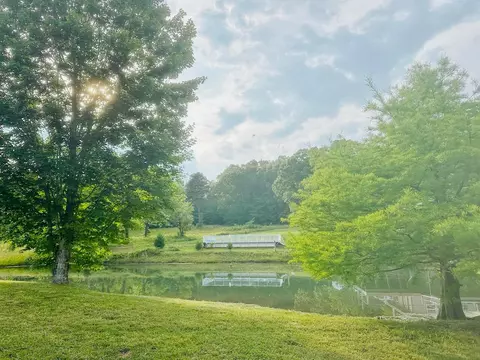 890 County Road 159, Vulcan, MO 63675 photo 46