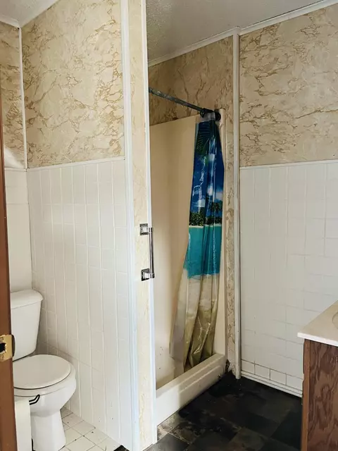 890 County Road 159, Vulcan, MO 63675 photo 68