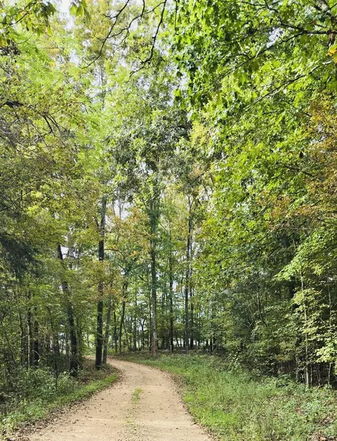 890 County Road 159, Vulcan, MO 63675 photo 51