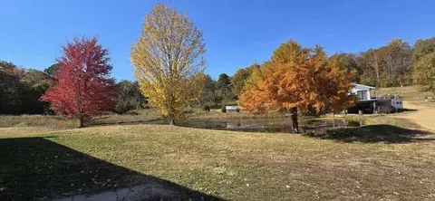 890 County Road 159, Vulcan, MO 63675 photo 39