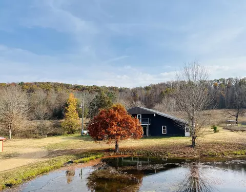 890 County Road 159, Vulcan, MO 63675 photo 37