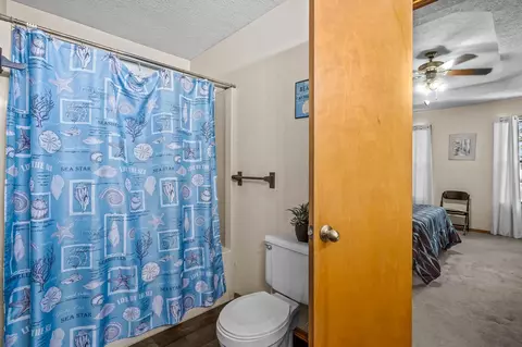 104 S Inmon St, Clever, MO 65631 photo 15