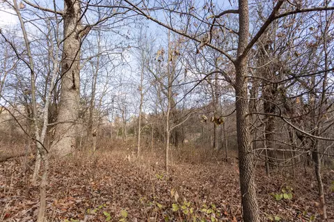 718 Davis Bridge Rd, Republic, MO 65738 photo 37