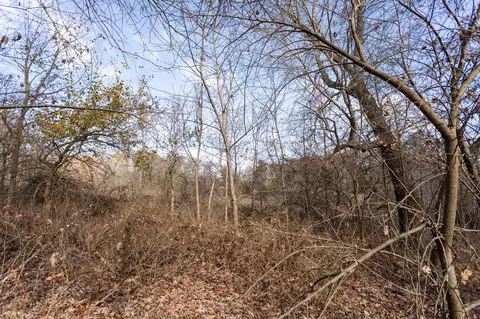 718 Davis Bridge Rd, Republic, MO 65738 photo 38