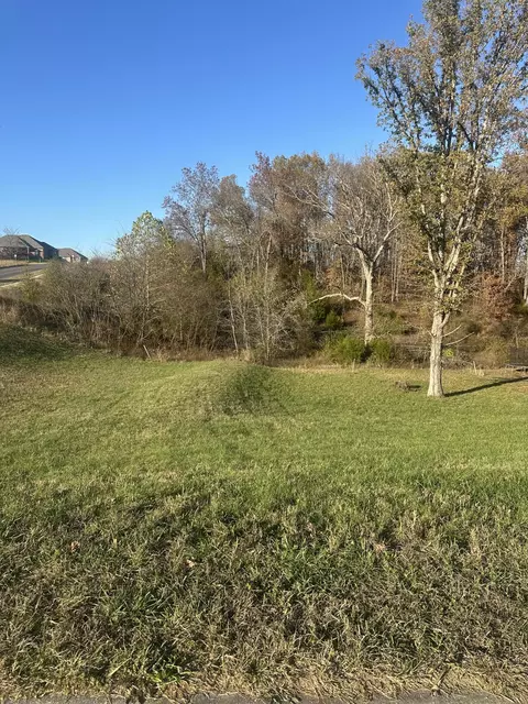 859 E Richmond Way, Nixa, MO 65714 photo 1