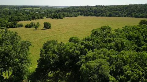 000 County Road 422, Ava, MO 65608 photo 57