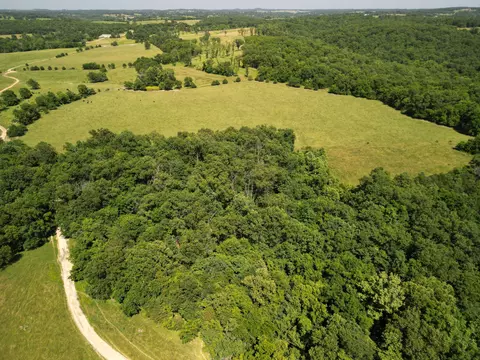 000 County Road 422, Ava, MO 65608 photo 70
