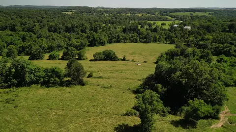 000 County Road 422, Ava, MO 65608 photo 60