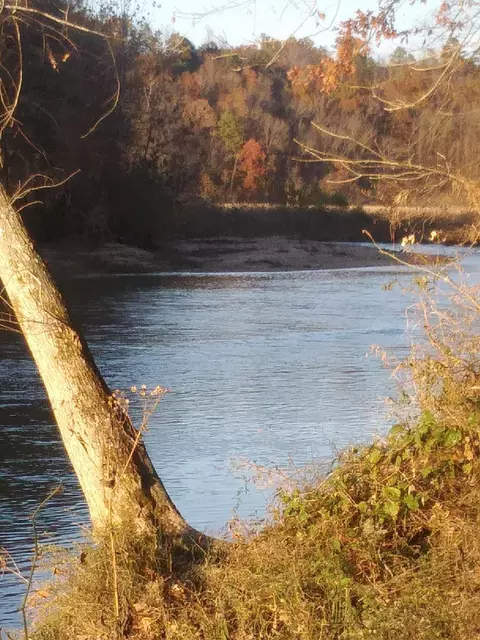 000 County Road 422, Ava, MO 65608 photo 27