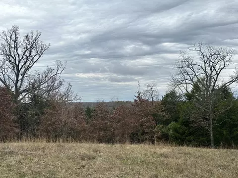 1616 E 566th Rd, Brighton, MO 65617 photo 1