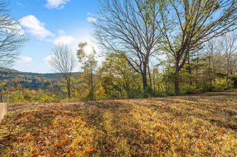 126 Overlook Dr #1, Branson, MO 65616 photo 4