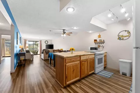 126 Overlook Dr #1, Branson, MO 65616 photo 7