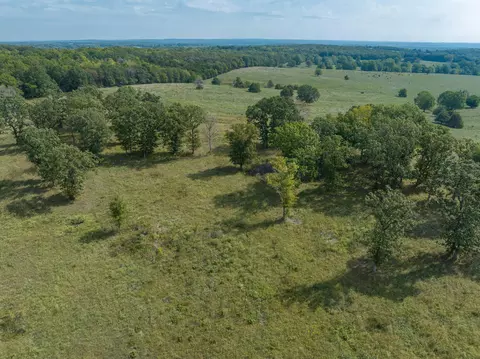 000 E 318th Rd, Flemington, MO 65650 photo 3