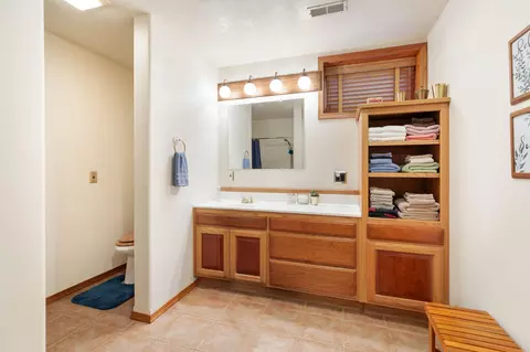 882 Brushy Rd, Ridgedale, MO 65739 photo 16