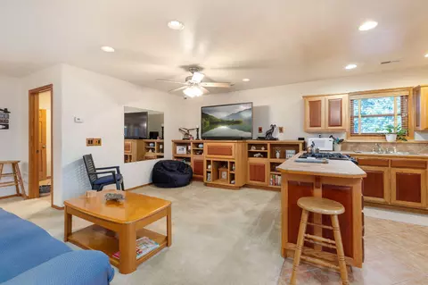 882 Brushy Rd, Ridgedale, MO 65739 photo 8