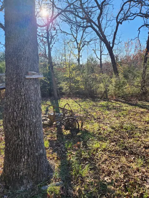 910 County Rd 817, Gainesville, MO 65655 photo 12