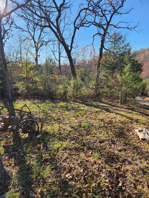 910 County Rd 817, Gainesville, MO 65655 photo 13