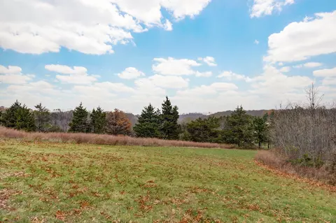Exterior - 175 Ranch View Ct, Branson, MO 65616 photo 6 of 6