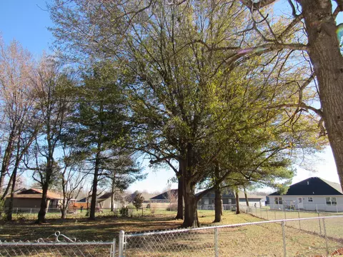 720 Scott Cir, Republic, MO 65738 photo 10