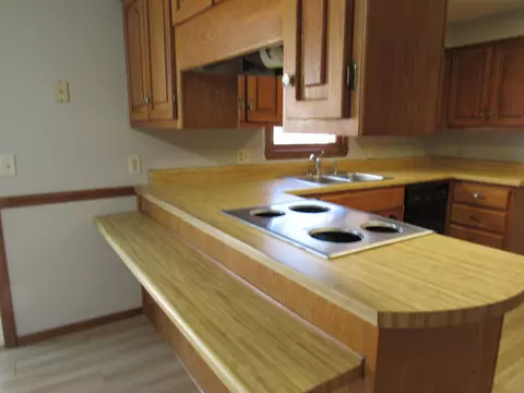 720 Scott Cir, Republic, MO 65738 photo 21