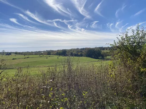 10 Acres Kentucky Rd, Ozark, MO 65721 photo 7