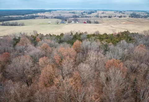000 State Road U, Walnut Grove, MO 65770 photo 9