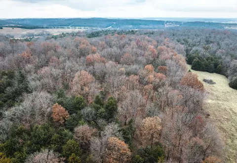 000 State Road U, Walnut Grove, MO 65770 photo 5