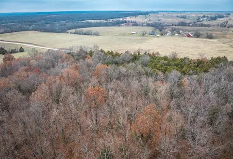 000 State Road U, Walnut Grove, MO 65770 photo 8