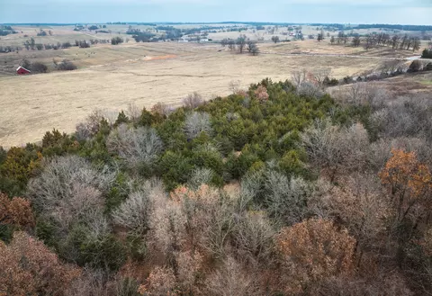 000 State Road U, Walnut Grove, MO 65770 photo 11