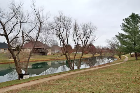 703 E Bayshore Dr, Ozark, MO 65721 photo 36