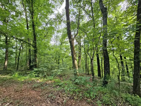 20 Ac Jesse James Rd, Pineville, MO 64856
